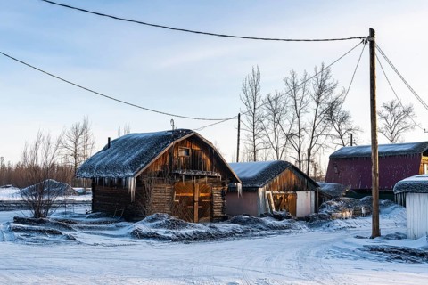 Coal dusted snow