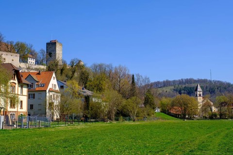 Pappenheim with Pappenheim Castle