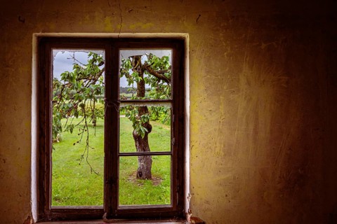 A window with broken glass on the wall