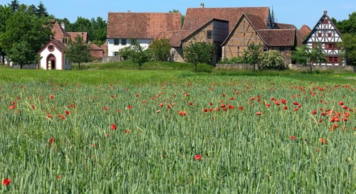 Historic farmhouses