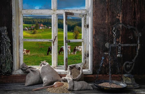 View from the farmer's kitchen with rye grains and scales into the landscape