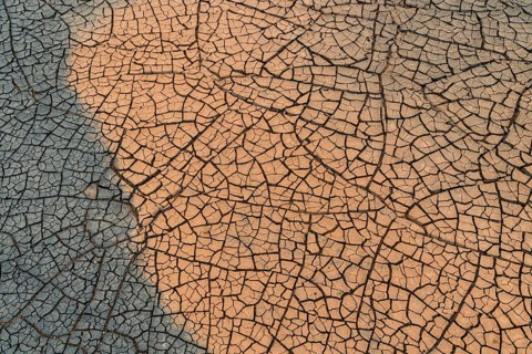 Cracks in the clay soil form mosaic-like structure