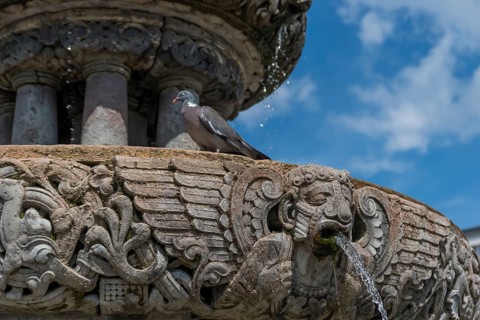 Roland Fountain