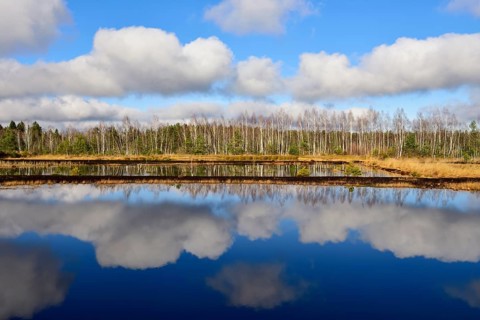 Cloud reflection in moor pond