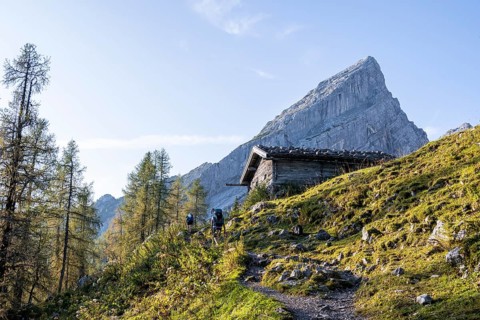 Falzalm and Watzmann Frau