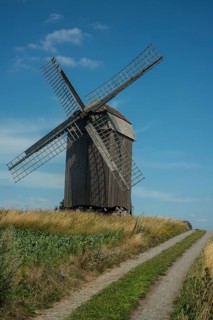 Old windmill build in 1792 at country road and field of sugar beets at Jordberga