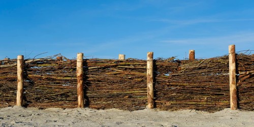 Fence made of brushwood branches for coastal protection