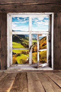 View from a farmhouse into the Muenstertal