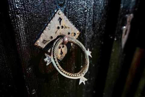 Door knocker