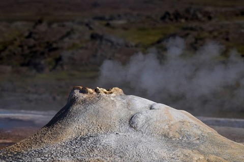 Steaming hot spring Oeskjuhoell or Oeskurholhver