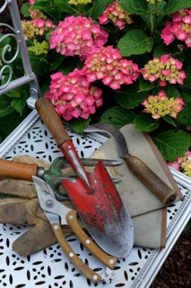 Garden tools on garden chair and flowering hydrangeas