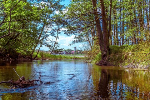 The bank of the Brda river near the village of Sapolno. Kashubia