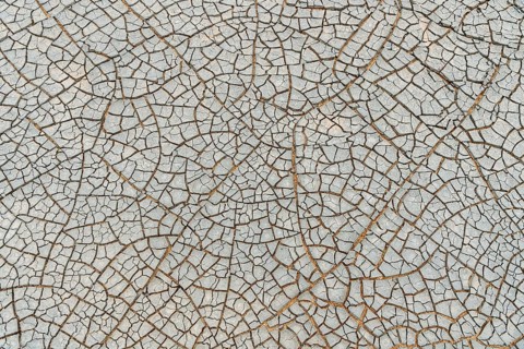 Cracks in the clay soil form mosaic-like structure