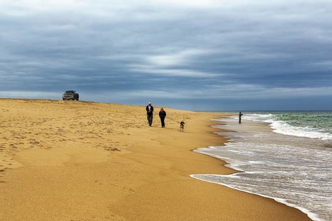 Walkers at the empty beach