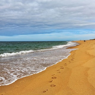 Footprints at the empty beach