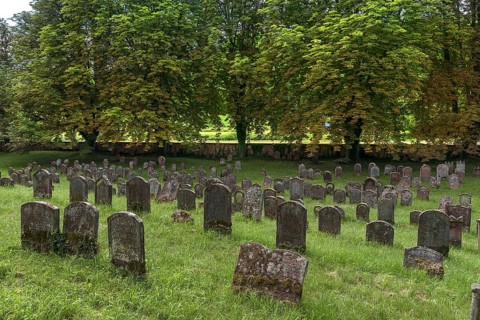 Historic Jewish cemetery