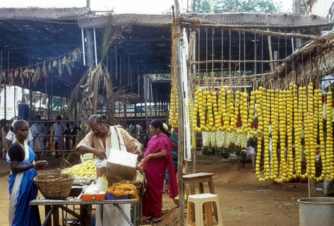Lemon garlands at Vana Badra Kali Amman Temple at Nellithurai near Mettupalayam