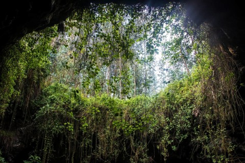 Cave system in the Virunga National Park