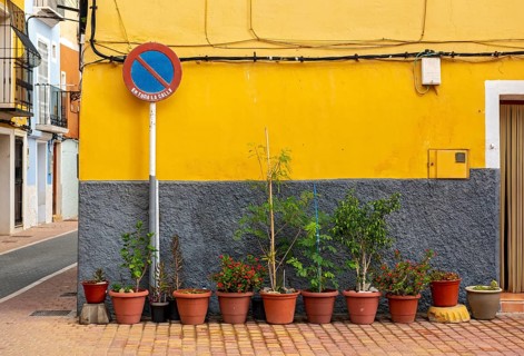 No waiting road sign and flowerpots in front of yellow wall