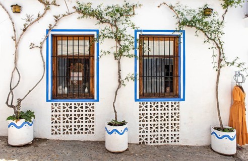 Windows and flowerpots