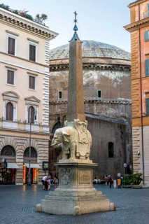 Pulcino della Minerva