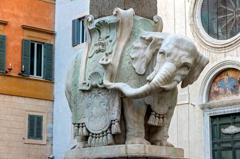Pulcino della Minerva