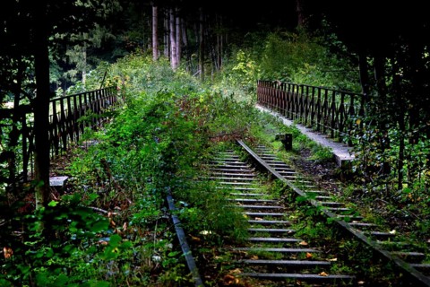 Railway tracks in the Eckertal valley