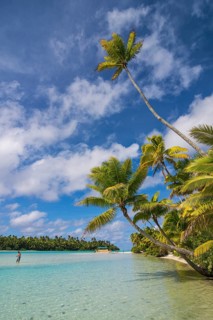 White sand and palm fringed beach in Aitutaki lagoon