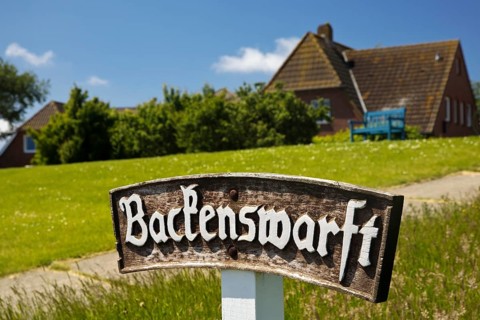The Backenswarft