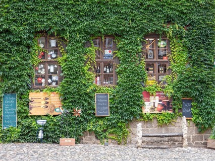 Green overgrown facade of the mustard shop