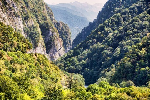 Road to Krasnaya Polyana