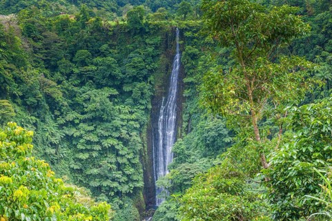 Papapapai-Tai Falls