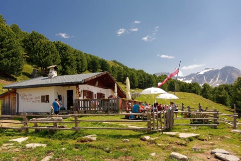 Kaelberalm hut at 2247 metres altitude