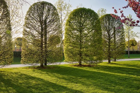Park Galitskogo
