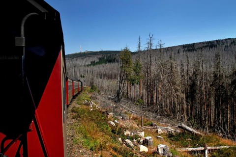 Harz narrow gauge railway