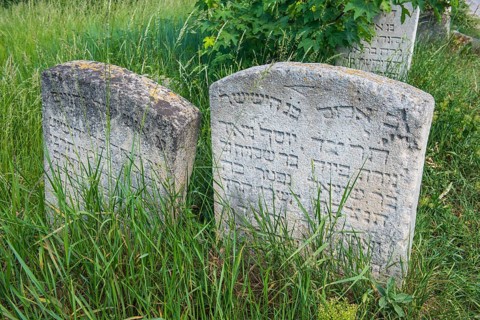 Jewish cemetery in Buchach