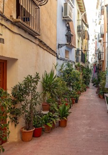 Narrow street with flowerpots