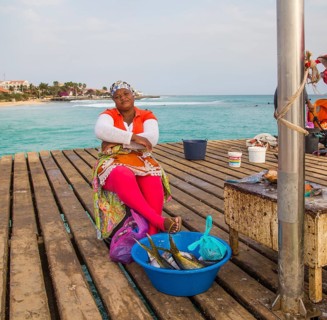Fish seller