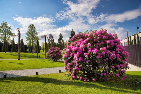 Park Galitskogo