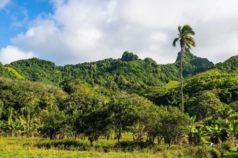 Rugged interior of Rarotonga