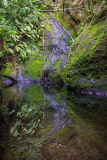 Wigmore's Waterfall