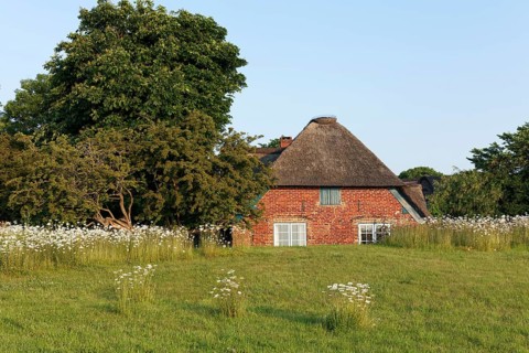 Frisian house with thatched roof