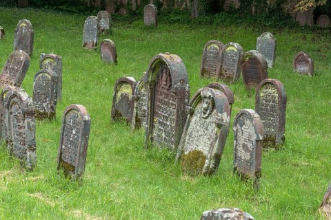Historic Jewish cemetery