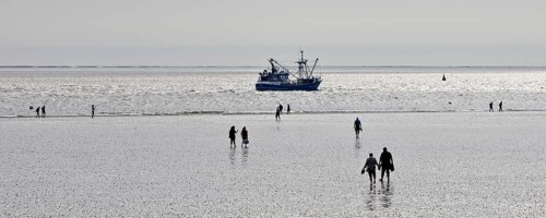 Mudflat walkers at low tide