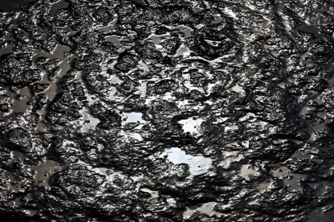 North Sea silt in the harbour basin at low tide