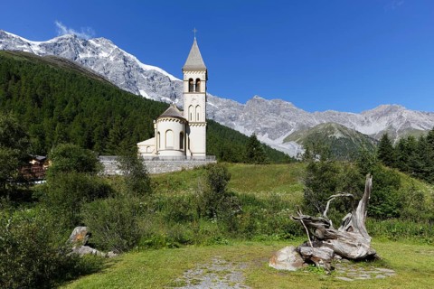 Mountain meadow with old root