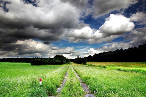 Kolonnenweg