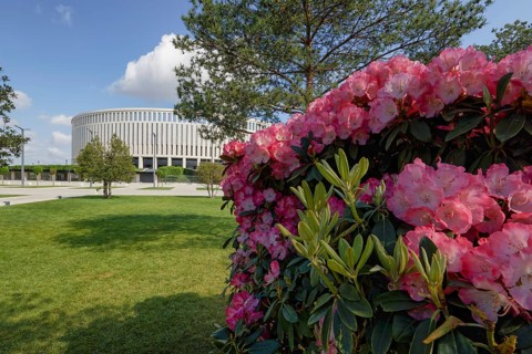 Park Galitskogo