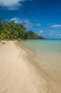 White sand beach and palm fringed beach in Aitutaki lagoon