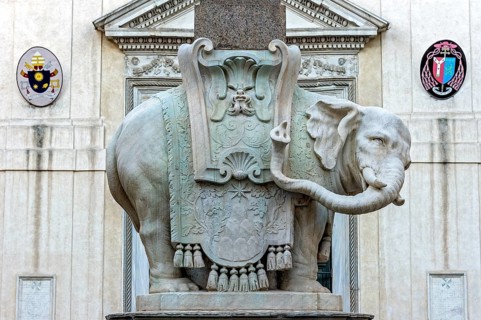 Pulcino della Minerva